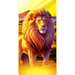 Lion
Safari